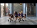 Rania - Dr. Feel Good (D.Zone Dance Cover ...