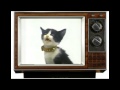 The Wiz 1988 Commercial Breaks KCOP Channel 13 Part 1