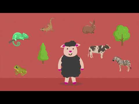 Episodju Nru 131 – Flora u Fawna