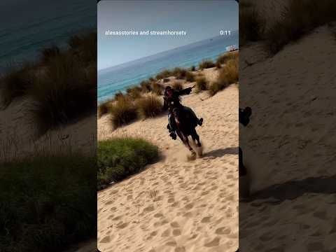 When flying on horseback feels like paradise 🐎 Arabian beauty 🐎 Jummah