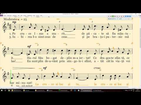 Tenor 2, La cruce ai loc si tu