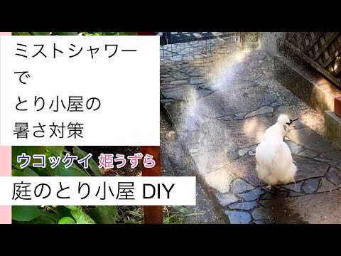 園芸 庭にある鶏小屋