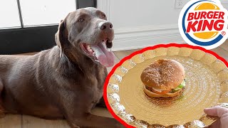 How Fast Can My Dog Eat A Burger King Whopper?!?