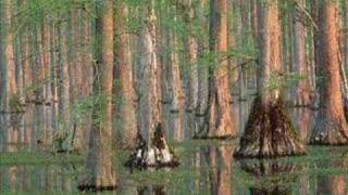 A dream in the night