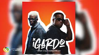 Download lagu S.N.E and SjavasDaDeejay - iGardo mp3