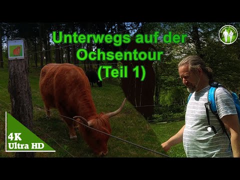 Unterwegs auf der Ochsentour in Oerlinghausen (Teil 1)