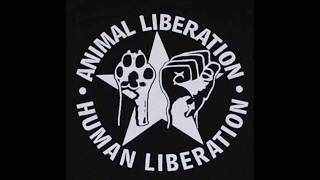 Ein Plädoyer für einen "linksradikalen" Veganismus