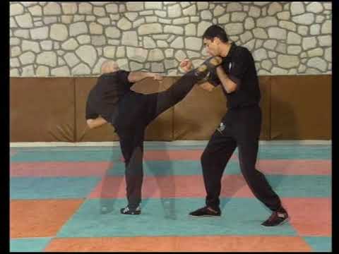 "JEET KUNE DO " = Encyclpedia -with Experts "Bob Breen" - "Eric Laulagnet"
