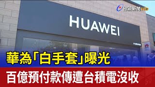 Re: [新聞] 遭疑華為晶片「白手套」!台IC設計大廠股
