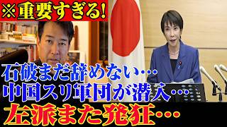 ※すべての日本人は見てください…高市内閣に関する緊急ニュース！治安問題まで浮上で空気最悪…左派も大荒れ？！恐ろしい事態になりました…【自民党/高市早苗/日本保守党】