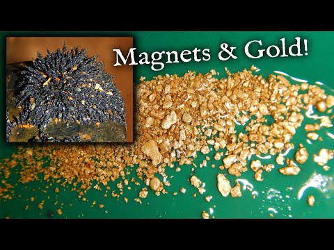 Prospecting for gold using MAGNETS.....!?