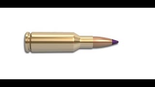 What is a 6mm PPC Cartridge ?