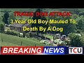TRAGIC DOG ATTACK 3 Year Old Boy Mauled To Death By A Dog