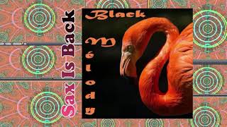 B.T. Express - If It Don't Turn You On (You Oughta Leave It Alone) + Discotizer