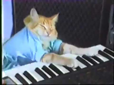 Keyboard Cat 1 hour