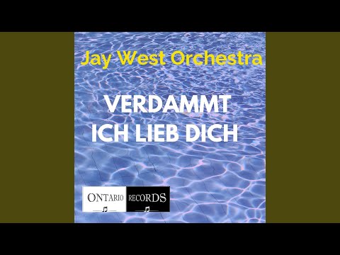 Verdammt ich lieb dich (karaoke)