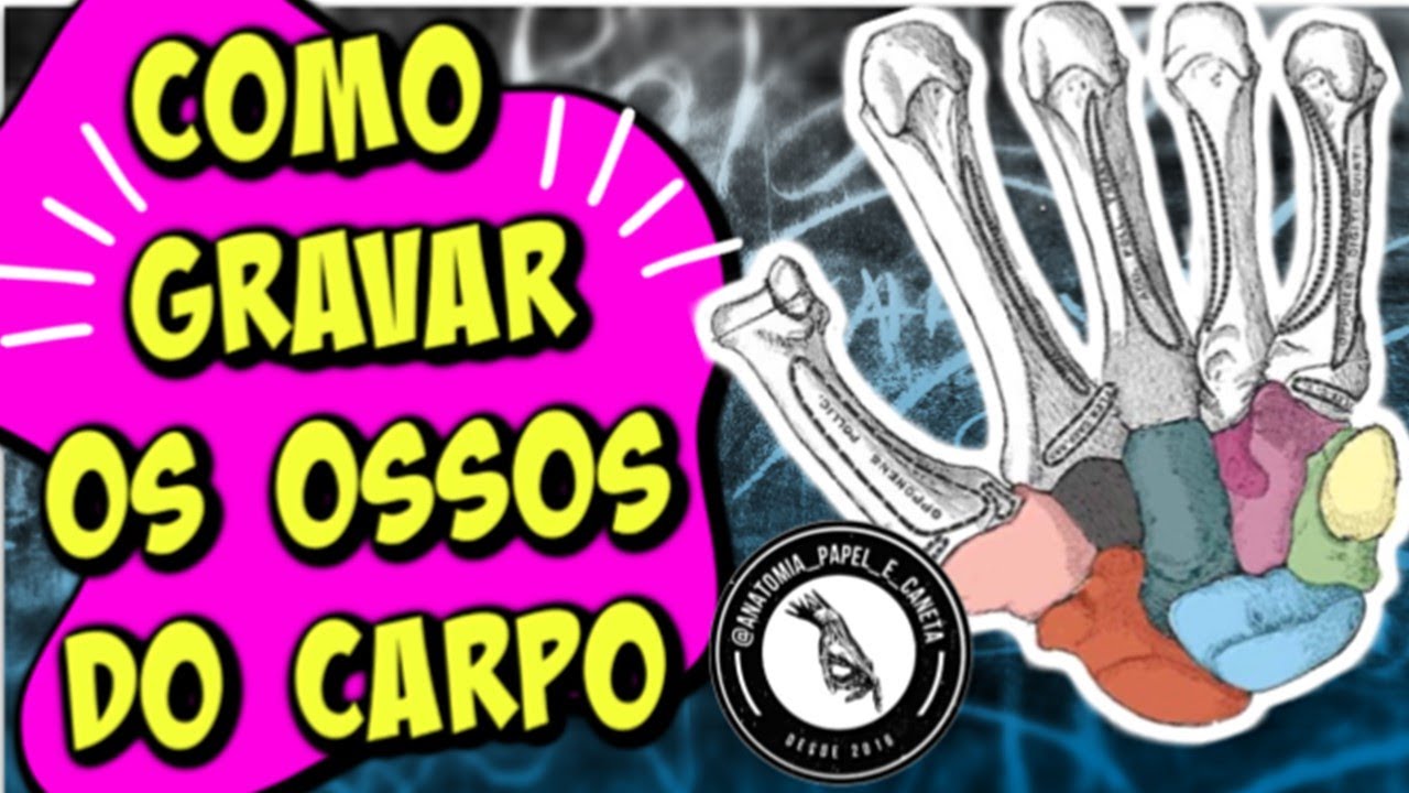 COMO GRAVAR OS OSSOS DO CARPO? Anatomia óssea dos MMSS - (Parte 1/5)