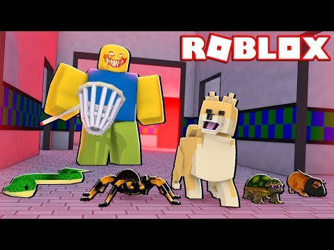 Moosecraft Becomes A Pet In Roblox Roblox Pet Escape Mooseblox - moosecraft becomes a pet in roblox roblox pet escape mooseblox daily roblox