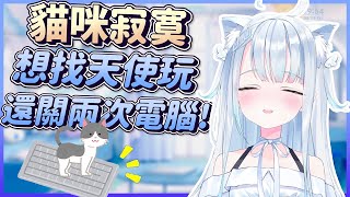 [Vtub] 天使うと直播中被貓咪關機