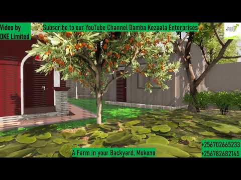 A Farm in your backyard, 0.2 acres Mukono