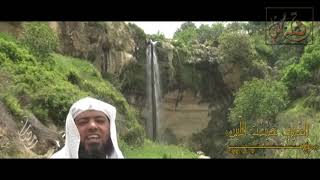 صورة قصة مثل-   الحلقة (14) الصيف ضيعت اللبن