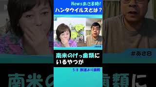 【ハンタウイルス】肺や心臓を攻撃する南米アンデス型　#日本保守党#有本香#ハンタウイルス