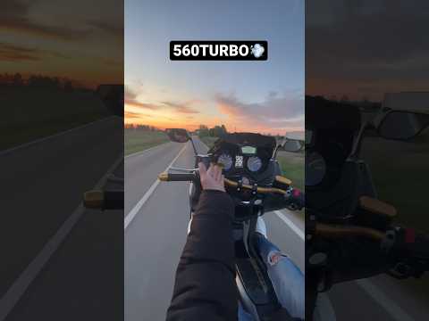 Tmax 560 TURBO #whellie