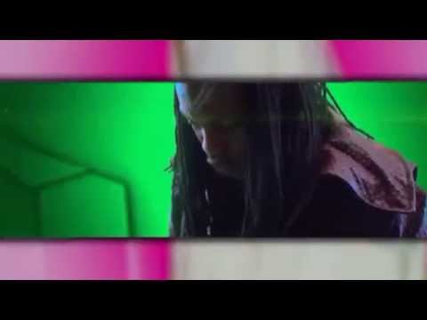 Steve Aoki ft Waka Flocka Flame - Rage The Night Away - Video Remix
