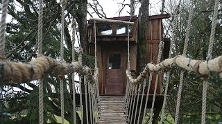 Tree Climber Gets a Treehouse