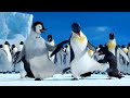 Boogie Wonderland Happy Feet 2006 Comédia Cena HD