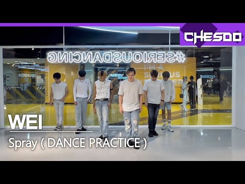 [Dance Practice] Chesdo | WEI SPRAY 🇹🇭