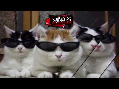 bas gaza - ismail yk (speed up)