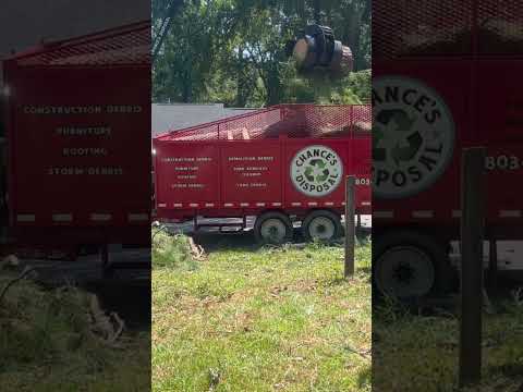 Feeding a grapple trailer with Kubota L2501 #tractor #treework #stumpgrinding #stihl