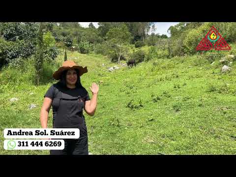 🌿Vendo terreno Naturaleza, agua y tranquilidad en Choachí