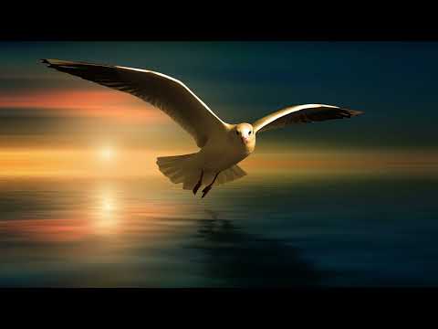 Greencyde - The Memories Never Leave