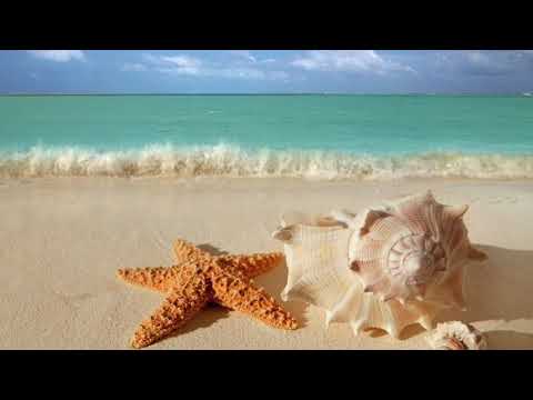 Mong manh - Ngô Tín