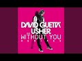 Without You (feat. Usher) (Extended)