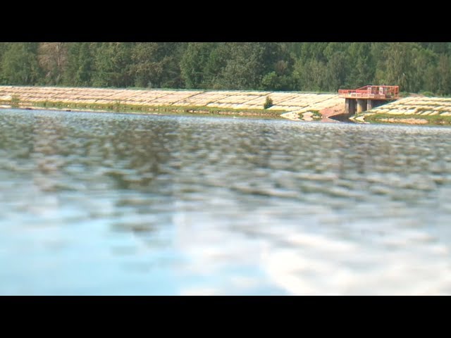 Еловский пруд опасен для здоровья