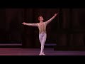 The Sleeping Beauty Prince Florimund Act III Variation Petipa Steven McRae The Royal Ballet