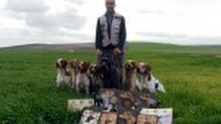 Pruebas de Primavera, España