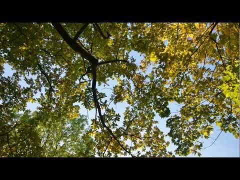 Kondrak śpiewa Stachurę - missa pagana. Nowa płyta Jana Kondraka.