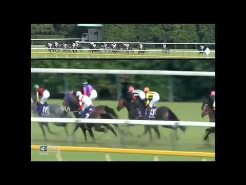 2015.06.07 Yasuda Kinen (JPN) - Maurice
