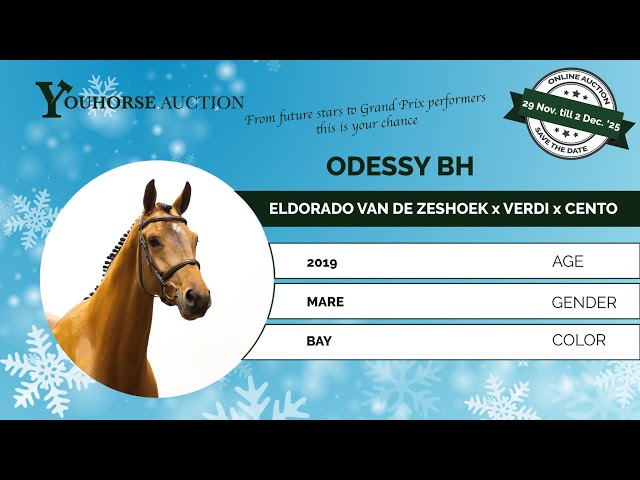 Odessy BH