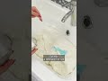 How to Whiten Yellowed Clothes – A Simple Trick!