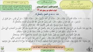 صورة شرح الجامع الكبير سنن الترمذي : باب ماجاء في المحل ، والمحلل له - الحديث 1141 || ماهر ياسين الفحل