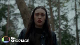 Banshee (Drama / Suspense) | The past won’t stay buried