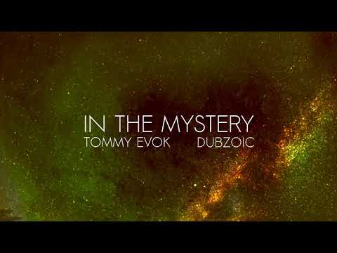 In the Mystery // Dubzoic ft Tommy Evok // Live dub
