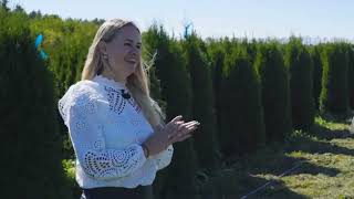 Ирина Любченко – Питомник туй Ирины Любченко / Лайфхаки для начинающих питомниководов. Часть 2