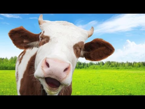 Farming Simulator 15 - How To Make Hamburgers!