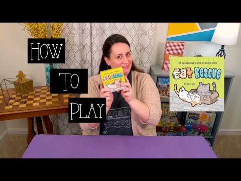 Girls Game Shelf - How to Play Cat Rescue